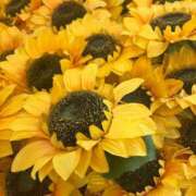 ヒメ日記 2025/08/05 12:00 投稿 水沢のあ PLAY