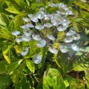 ヒメ日記 2025/08/15 08:18 投稿 水沢のあ PLAY