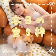 ヒメ日記 2025/07/27 10:51 投稿 愛沢せれな LUXE(リュクス)