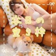 ヒメ日記 2025/08/31 10:04 投稿 愛沢せれな LUXE(リュクス)