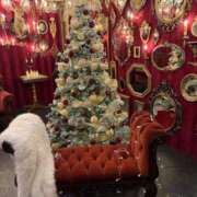 ヒメ日記 2025/10/26 15:51 投稿 愛沢せれな LUXE(リュクス)