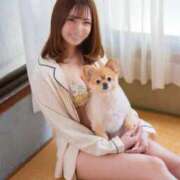 ヒメ日記 2026/04/11 10:42 投稿 愛沢せれな LUXE(リュクス)