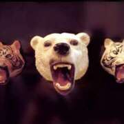 ヒメ日記 2025/07/31 08:36 投稿 生駒るきあ PLAY