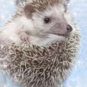 ヒメ日記 2025/08/01 09:57 投稿 生駒るきあ PLAY