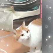 ヒメ日記 2025/08/01 20:02 投稿 生駒るきあ PLAY