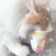 ヒメ日記 2025/08/31 12:08 投稿 生駒るきあ PLAY