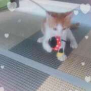 ヒメ日記 2025/09/14 00:42 投稿 生駒るきあ PLAY