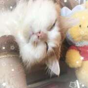 ヒメ日記 2025/10/13 10:29 投稿 生駒るきあ PLAY