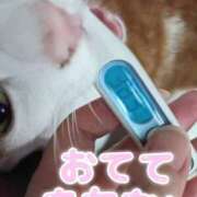 ヒメ日記 2025/10/20 09:29 投稿 生駒るきあ PLAY