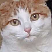 ヒメ日記 2025/10/30 04:45 投稿 生駒るきあ PLAY