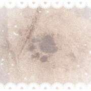 ヒメ日記 2025/11/01 00:24 投稿 生駒るきあ PLAY