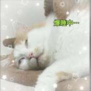 ヒメ日記 2026/01/12 00:20 投稿 生駒るきあ PLAY