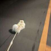 ヒメ日記 2025/11/12 08:30 投稿 赤井いちご PLAY