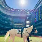 ヒメ日記 2025/11/15 17:32 投稿 赤井いちご PLAY