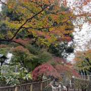 ヒメ日記 2025/12/02 07:31 投稿 赤井いちご PLAY