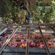 ヒメ日記 2026/01/18 15:52 投稿 赤井いちご PLAY