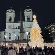 ヒメ日記 2025/12/31 22:16 投稿 渡辺まりな PLAY