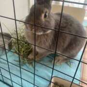 ヒメ日記 2025/07/29 13:37 投稿 葵りん PLAY