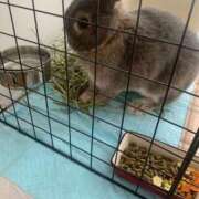 ヒメ日記 2025/08/02 10:01 投稿 葵りん PLAY