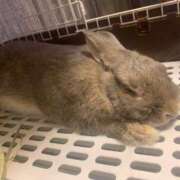 葵りん しばらくお休みします... PLAY