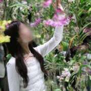 ヒメ日記 2025/07/26 09:37 投稿 寒凪こころ BaliSpa