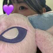 なぎさ 2月の出勤予定について? 池袋コスプレサンシャイン（シンデレラグループ）