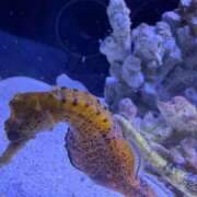 なぎさ ぬぎぬぎ、、、？？！！ 池袋コスプレサンシャイン（シンデレラグループ）