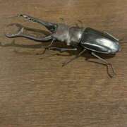 ヒメ日記 2026/04/03 16:22 投稿 なぎさ 池袋コスプレサンシャイン（シンデレラグループ）