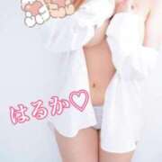 ヒメ日記 2025/09/25 11:17 投稿 はるか 千葉人妻花壇