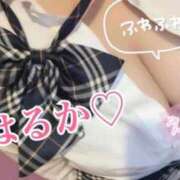 はるか 11時50分〜 千葉人妻花壇