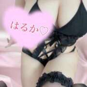 ヒメ日記 2026/01/15 09:56 投稿 はるか 千葉人妻花壇