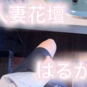 ヒメ日記 2026/05/02 13:22 投稿 はるか 千葉人妻花壇