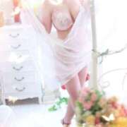 ヒメ日記 2025/07/07 11:56 投稿 佐野涼子 こあくまな熟女たち姫路店（KOAKUMAグループ）