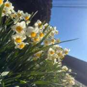 ヒメ日記 2026/01/27 11:58 投稿 リアナ 成田富里インターちゃんこ