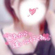 ヒメ日記 2025/07/19 15:28 投稿 ひな 成田富里インターちゃんこ