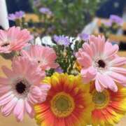 ヒメ日記 2025/12/09 11:16 投稿 菊池 熟女の風俗最終章 新横浜店