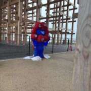 ヒメ日記 2025/09/27 03:51 投稿 Moa【モア】 ピンクコレクション大阪