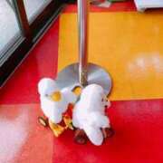 ヒメ日記 2025/07/10 13:21 投稿 サリ 池袋マリン別館