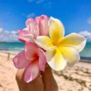 ヒメ日記 2025/07/20 09:57 投稿 ゆうき 佐賀人妻デリヘル 「デリ夫人」