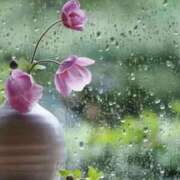 ヒメ日記 2025/08/07 07:30 投稿 ゆうき 佐賀人妻デリヘル 「デリ夫人」