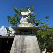 ヒメ日記 2025/09/06 15:16 投稿 ゆうき 佐賀人妻デリヘル 「デリ夫人」