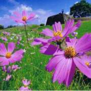 ヒメ日記 2025/10/05 09:51 投稿 ゆうき 佐賀人妻デリヘル 「デリ夫人」