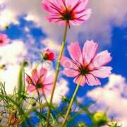 ヒメ日記 2025/10/15 11:13 投稿 ゆうき 佐賀人妻デリヘル 「デリ夫人」