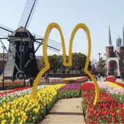 ヒメ日記 2025/10/28 08:07 投稿 ゆうき 佐賀人妻デリヘル 「デリ夫人」