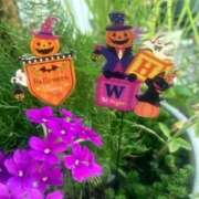 ヒメ日記 2025/10/30 13:12 投稿 ゆうき 佐賀人妻デリヘル 「デリ夫人」