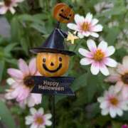 ヒメ日記 2025/10/30 19:45 投稿 ゆうき 佐賀人妻デリヘル 「デリ夫人」