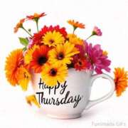 ヒメ日記 2025/11/08 17:51 投稿 ゆうき 佐賀人妻デリヘル 「デリ夫人」