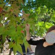 ヒメ日記 2025/11/10 16:14 投稿 ゆうき 佐賀人妻デリヘル 「デリ夫人」