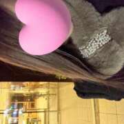 ヒメ日記 2025/11/23 01:46 投稿 ゆうき 佐賀人妻デリヘル 「デリ夫人」