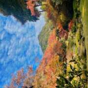 ヒメ日記 2025/11/24 14:10 投稿 ゆうき 佐賀人妻デリヘル 「デリ夫人」